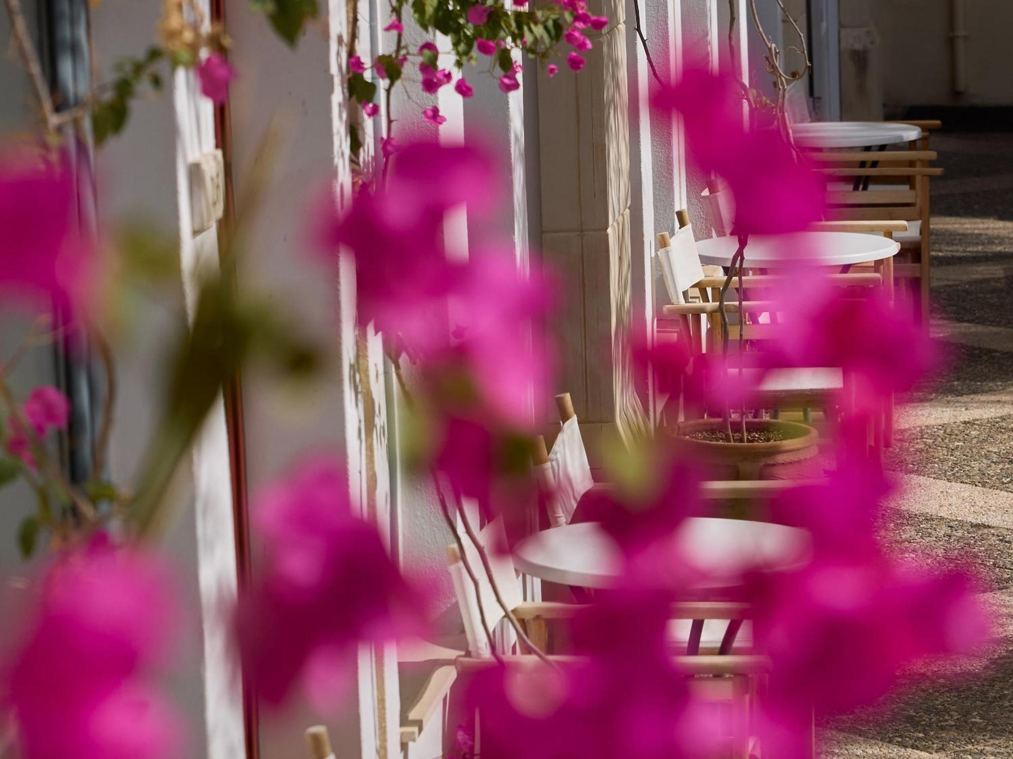 Grecotel Plaza Beach House Rethymno Eksteriør bilde